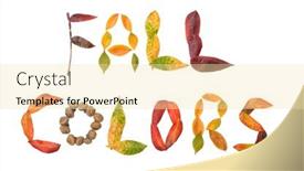  Presentation with fall colors - PPT layouts consisting of fall-colors-text-spelled-out background and a blonde colored foreground