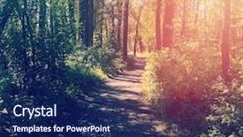  Presentation with thought - Colorful slide deck enhanced with fall day in forest with light beams thought trees - instagram effect backdrop and a navy blue colored foreground