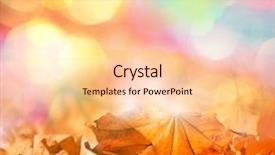  Presentation with fall festival - Presentation design with fall festival - autumn leaves background and a  colored foreground
