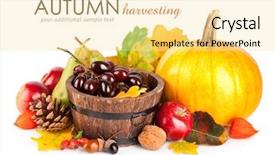  Presentation with fresh fruits and vegetables - Colorful theme enhanced with fall festival - autumnal harvest fruits and vegetables backdrop and a blonde colored foreground