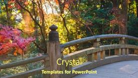  Presentation with fall foliage - Cool new slide deck with fall-foliage-at-meiji-shrine backdrop and a tawny brown colored foreground