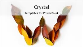  Presentation with fall foliage - Slides having fall foliage autumnal design font background and a white colored foreground