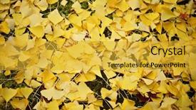  Presentation with fall-foliage - Cool new PPT layouts with fall foliage fallen on the ground in kyoto japan backdrop and a gold colored foreground
