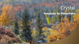  Presentation with fall mountains - Cool new PPT theme with fall foliage in colorado rocky mountains backdrop and a gray colored foreground