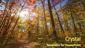  Presentation with shining forest - Colorful PPT theme enhanced with fall forest and hiking trail backdrop and a tawny brown colored foreground