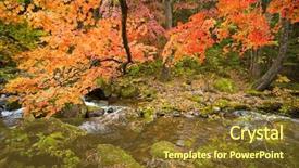  Presentation with russian forest - PPT theme enhanced with red maple trees in russian background and a tawny brown colored foreground