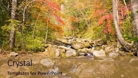  Presentation with russian forest - Colorful PPT layouts enhanced with red maple trees in russian backdrop and a gold colored foreground
