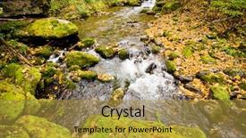  Presentation with russian forest - Cool new presentation theme with fall forest stream elomovsky in russian primorye lazo reserve backdrop and a gold colored foreground