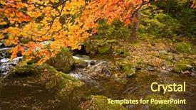  Presentation with russian forest - PPT theme featuring fall forest stream elomovsky with red maple trees in russian primorye background and a tawny brown colored foreground