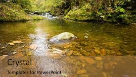  Presentation with russian forest - Cool new presentation theme with fall forest stream elomovsky in russian primorye backdrop and a gold colored foreground