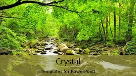  Presentation with russian forest - Theme featuring fall forest stream smolny background and a gold colored foreground