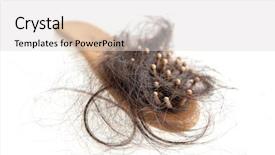  Presentation with hair brush - PPT layouts enhanced with fall ill - hairloss problem brush with lost background and a light gray colored foreground
