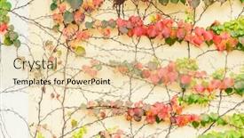  Presentation with fall leaves - Beautiful slide set featuring fall-ivy-creeper-colorful-leaves backdrop and a lemonade colored foreground