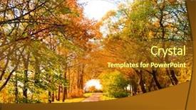  Presentation with leaves falling - Audience pleasing PPT layouts consisting of fall landscape falling leaves backdrop and a gold colored foreground