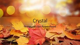  Presentation with fall - PPT layouts having fall leaves - autumn leaf background background and a gold colored foreground