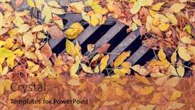  Presentation with fall leaves - Cool new PPT layouts with fall leaves clogging a drain in the street backdrop and a red colored foreground