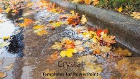  Presentation with stormwater - Cool new slide deck with fall leaves clogging stormwater drains backdrop and a coral colored foreground