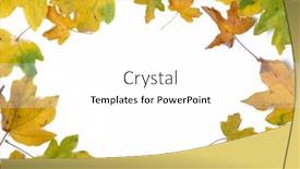  Presentation with fall leaves - PPT theme consisting of young female scientist injecting gmo into potato in laboratory background and a light gray colored foreground