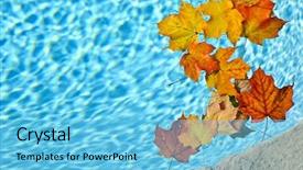  Presentation with isolated fall oak leaf - PPT theme featuring fall leaves floating in swimming background and a light blue colored foreground