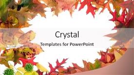  Presentation with fall leaves border white - PPT theme with fall leaves frame on white background and a  colored foreground