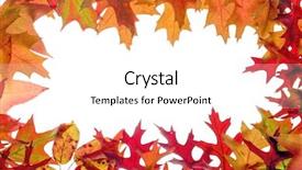  Presentation with fall leaves border white - Colorful slides enhanced with fall leaves frame on white backdrop and a  colored foreground