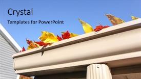  Presentation with fall leaves - Theme having fall leaves in the gutter background and a light blue colored foreground