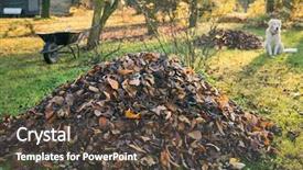  Presentation with fall leaves - Slide set with fall leaves with fan rake background and a dark gray colored foreground