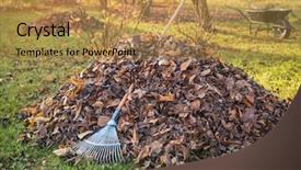  Presentation with fall leaves - Colorful presentation design enhanced with fall leaves with fan rake backdrop and a gold colored foreground