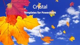  Presentation with falling leaves - Beautiful slides featuring fall maple leaves falling backdrop and a royal blue colored foreground