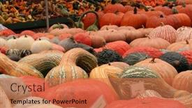  Presentation with market structure - Slides consisting of fall market background and a coral colored foreground