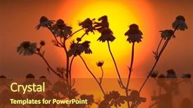  Presentation with sunset - Colorful slide deck enhanced with fall night skies - beautiful sunset backdrop and a tawny brown colored foreground