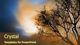  Presentation with spooky - Audience pleasing presentation theme consisting of fall night skies - spooky tree backdrop and a tawny brown colored foreground