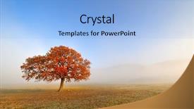  Presentation with autumn morning - Slides having fall oak - autumn foggy morning background and a  colored foreground