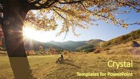 Presentation with contemplating - Slide deck consisting of fall oak - colorful autumn tree at sunset background and a tawny brown colored foreground