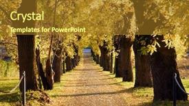  Presentation with solar tree evening landscape - Slide deck featuring fall oak - landscape road surrounded of trees background and a gold colored foreground