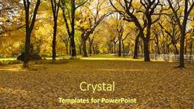  Presentation with fall leaves - Theme enhanced with fall-or-autumn-scene background and a tawny brown colored foreground