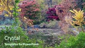  Presentation with fall - PPT theme having fall-reflection background and a tawny brown colored foreground