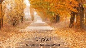  Presentation with autumn - Presentation design enhanced with market research proposals - be creative fresh ideas solution background and a light gray colored foreground