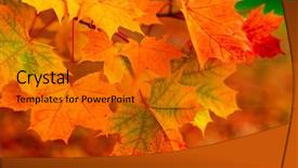  Presentation with foggy forest - Theme having fall scene - beautiful colorful autumn picturesque park background and a gold colored foreground