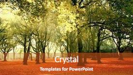  Presentation with bright - Amazing slides having fall scene - beautiful quiet park in bright backdrop and a crimson colored foreground