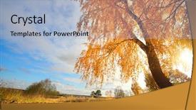  Presentation with autumn leaves - Cool new theme with fall scene - big autumn birch with yellow backdrop and a light blue colored foreground