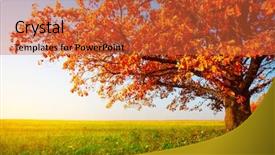  Presentation with oak - Slide deck featuring fall scene - big autumn oak and green background and a red colored foreground