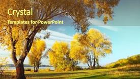  Presentation with team group yellow - PPT layouts with fall scene - group of yellow autumn trees background and a tawny brown colored foreground