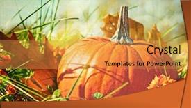  Presentation with fall color - PPT layouts consisting of fall scene - small pumpkin in the grass background and a gold colored foreground