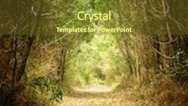  Presentation with pathway - Cool new PPT theme with agriculture - green hop cones lying on backdrop and a gray colored foreground