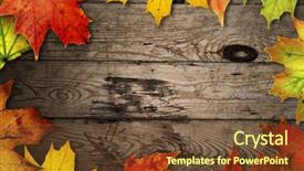  Presentation with fall season - PPT theme featuring fall season - autumn background background and a tawny brown colored foreground