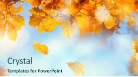  Presentation with autumn blue - Audience pleasing slides consisting of fall season - autumn leaves against blue sky backdrop and a cool aqua colored foreground