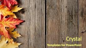  Presentation with maple leaves - PPT theme featuring fall season - autumn maple leaves over old background and a tawny brown colored foreground