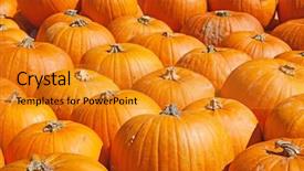  Presentation with agri market - PPT theme with tricolor - the flag of france background and a  colored foreground.