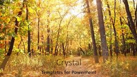  Presentation with sunny fall - PPT layouts consisting of fall-season-beautiful-landscape background and a gold colored foreground
